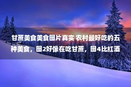 甘蔗美食美食图片真实 农村最好吃的五种美食，图2好像在吃甘蔗，图4比红酒还要美容