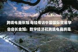 跨境电商张旭 每经专访中国国际贸易学会会长金旭：数字经济和跨境电商将是中国企业的亮点和机遇