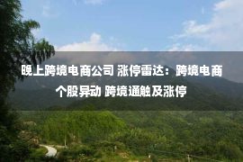 晚上跨境电商公司 涨停雷达：跨境电商个股异动 跨境通触及涨停