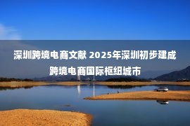 深圳跨境电商文献 2025年深圳初步建成跨境电商国际枢纽城市