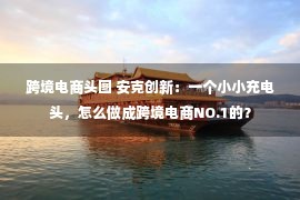 跨境电商头图 安克创新：一个小小充电头，怎么做成跨境电商NO.1的？