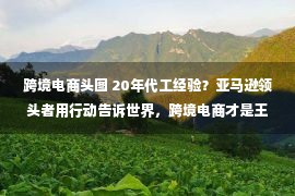 跨境电商头图 20年代工经验？亚马逊领头者用行动告诉世界，跨境电商才是王道！