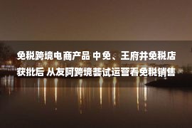 免税跨境电商产品 中免、王府井免税店获批后 从友阿跨境荟试运营看免税销售之争