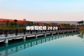 痛快短视频 2020