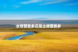 水培营养多还是土培营养多 