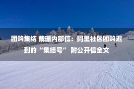 团购集结 戴珊内部信：阿里社区团购迟到的“集结号” 附公开信全文