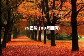 79团购 (88号团购)