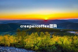 creepercoffee团购 