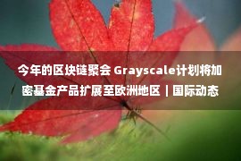 今年的区块链聚会 Grayscale计划将加密基金产品扩展至欧洲地区｜国际动态（327期）