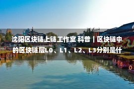 沈阳区块链上链工作室 科普｜区块链中的区块链层L0、L1、L2、L3分别是什么