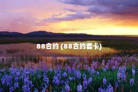 88合约 (88合约套卡)