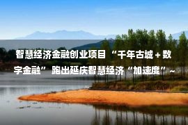 智慧经济金融创业项目 “千年古城＋数字金融” 跑出延庆智慧经济“加速度”~