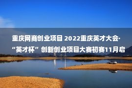 重庆网商创业项目 2022重庆英才大会·“英才杯”创新创业项目大赛初赛11月启动