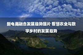 新电商融合发展趋势图片 智慧农业与数字乡村的发展趋势