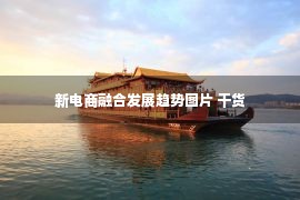 新电商融合发展趋势图片 干货