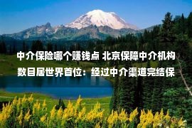 中介保险哪个赚钱点 北京保障中介机构数目居世界首位：经过中介渠道完结保费支出占总体85%以上