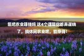 氧吧农业赚钱吗 这4个课题你都弄邃晓了，搞休闲农业吧，能挣钱！