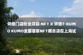 烘焙门店创业项目:NFT X 烘焙？KUMO KUMO全国首家NFT概念店在上海试营业！