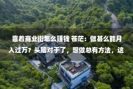 靠着商业街怎么赚钱 苍茫：做甚么能月入过万？头脑对于了，想做总有方法，这样才华稳赚