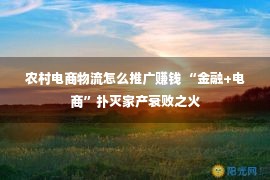 农村电商物流怎么推广赚钱 “金融+电商”扑灭家产衰败之火