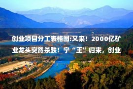 创业项目分工表格图:又来！2000亿矿业龙头突然杀跌！宁“王”归来，创业板率先走稳？