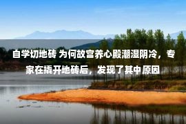 自学切地砖 为何故宫养心殿潮湿阴冷，专家在撬开地砖后，发现了其中原因