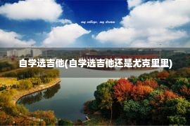 自学选吉他(自学选吉他还是尤克里里)