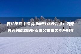 做小生意手续流程表格 远兴能源：内蒙古远兴能源股份有限公司重大资产购买及增资暨关联交易报告书（草案）（二次修订稿）