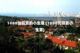 1000块投资的小生意 (1000元投资小生意)