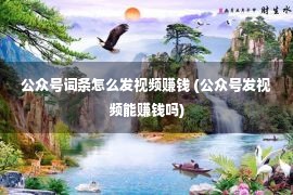 公众号词条怎么发视频赚钱 (公众号发视频能赚钱吗)