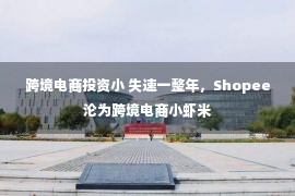 跨境电商投资小 失速一整年，Shopee沦为跨境电商小虾米