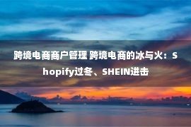 跨境电商商户管理 跨境电商的冰与火：Shopify过冬、SHEIN进击