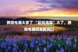 跨境电商太多了 “反向海淘”火了，跨境电商迎来新风口