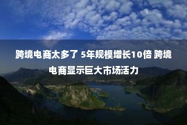 跨境电商太多了 5年规模增长10倍 跨境电商显示巨大市场活力