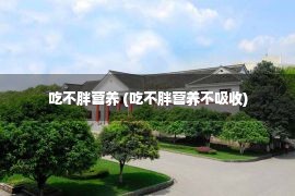 吃不胖营养 (吃不胖营养不吸收)