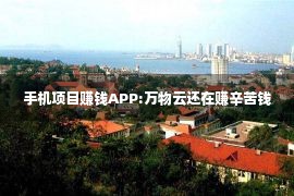 手机项目赚钱APP:万物云还在赚辛苦钱