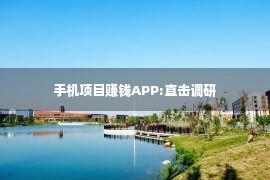 手机项目赚钱APP:直击调研