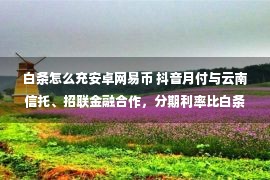 白条怎么充安卓网易币 抖音月付与云南信托、招联金融合作，分期利率比白条低比花呗高