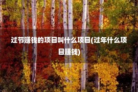 过节赚钱的项目叫什么项目(过年什么项目赚钱)