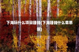 下海玩什么项目赚钱(下海赚钱什么意思啊)