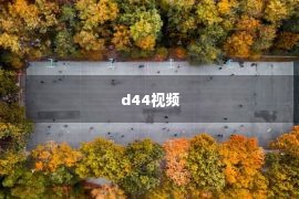 d44视频