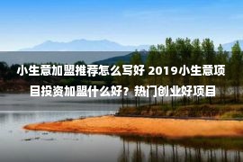 小生意加盟推荐怎么写好 2019小生意项目投资加盟什么好？热门创业好项目