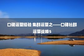 口碑运营经验 集群运营之——口碑社群运营战略5