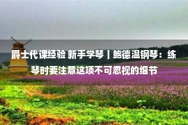 爵士代课经验 新手学琴丨鲍德温钢琴：练琴时要注意这项不可忽视的细节