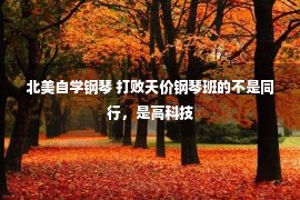 北美自学钢琴 打败天价钢琴班的不是同行，是高科技