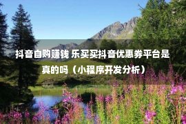 抖音自购赚钱 乐买买抖音优惠券平台是真的吗（小程序开发分析）