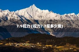 7.9视力 (视力7.7是多少度)