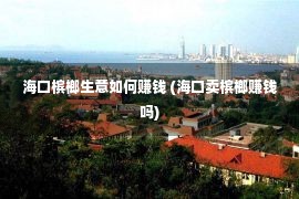 海口槟榔生意如何赚钱 (海口卖槟榔赚钱吗)