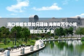 海口槟榔生意如何赚钱 海南省万宁小槟榔做出大产业