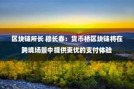 区块链所长 穆长春：货币桥区块链将在跨境场景中提供更优的支付体验